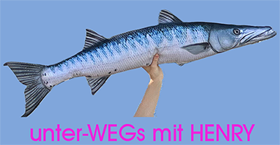 unterWEGs mit HENRY Performance 28.8.26